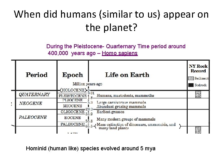 When did humans (similar to us) appear on the planet? During the Pleistocene- Quarternary