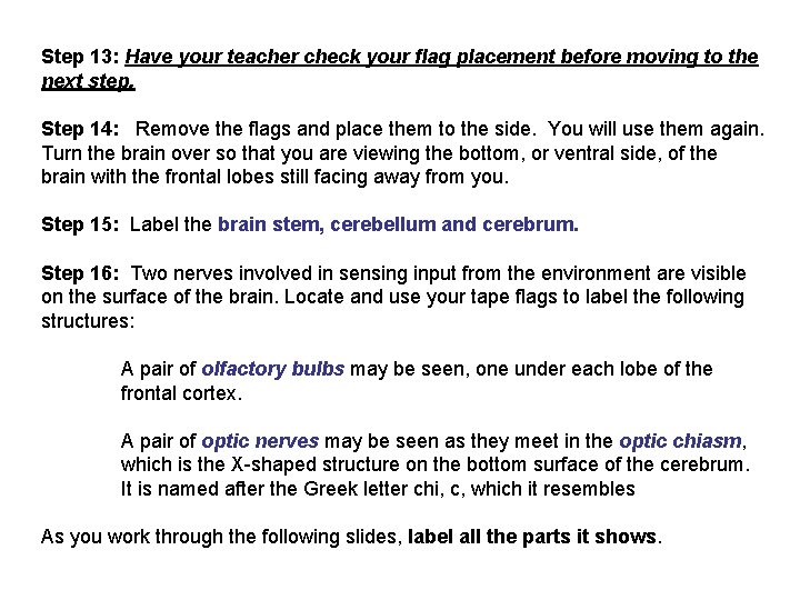 Step 13: Have your teacher check your flag placement before moving to the next