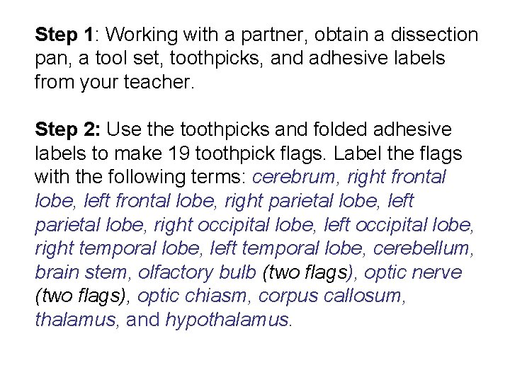 Step 1: Working with a partner, obtain a dissection pan, a tool set, toothpicks,