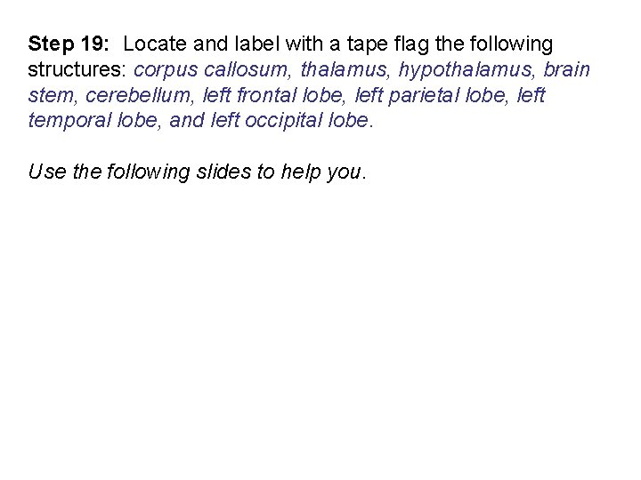 Step 19: Locate and label with a tape flag the following structures: corpus callosum,