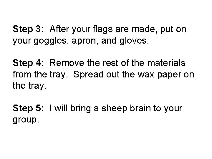 Step 3: After your flags are made, put on your goggles, apron, and gloves.