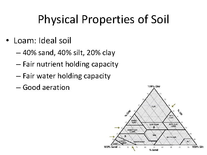 Physical Properties of Soil • Loam: Ideal soil – 40% sand, 40% silt, 20%