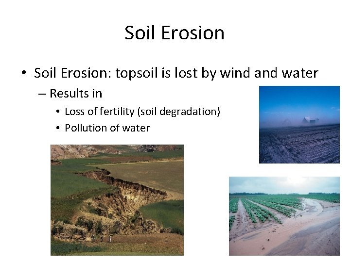 Soil Erosion • Soil Erosion: topsoil is lost by wind and water – Results