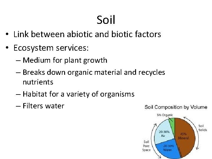 Soil • Link between abiotic and biotic factors • Ecosystem services: – Medium for