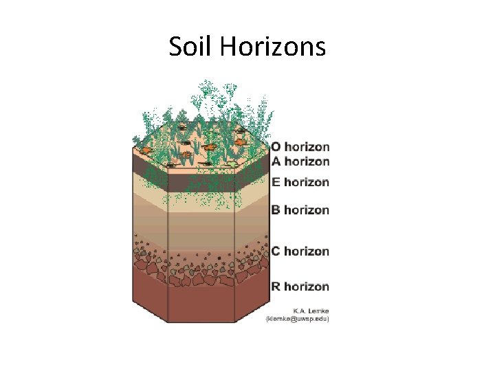 Soil Horizons 