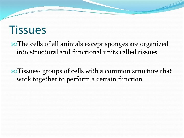 Tissues The cells of all animals except sponges are organized into structural and functional