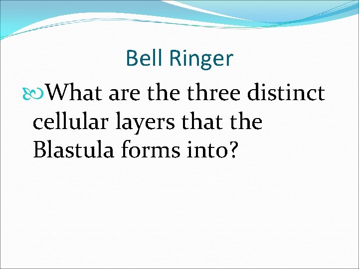 Bell Ringer What are three distinct cellular layers that the Blastula forms into? 