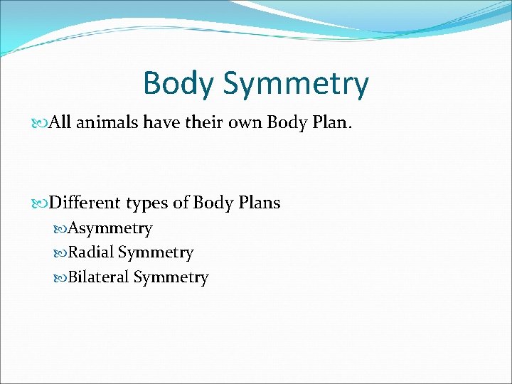 Body Symmetry All animals have their own Body Plan. Different types of Body Plans