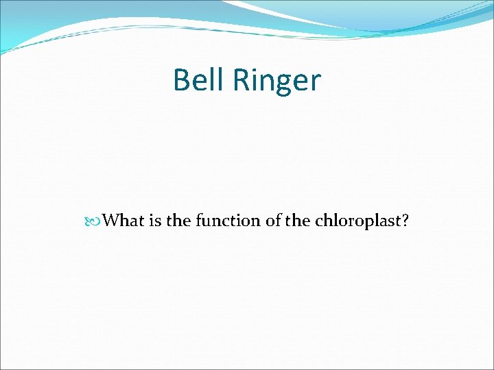Bell Ringer What is the function of the chloroplast? 