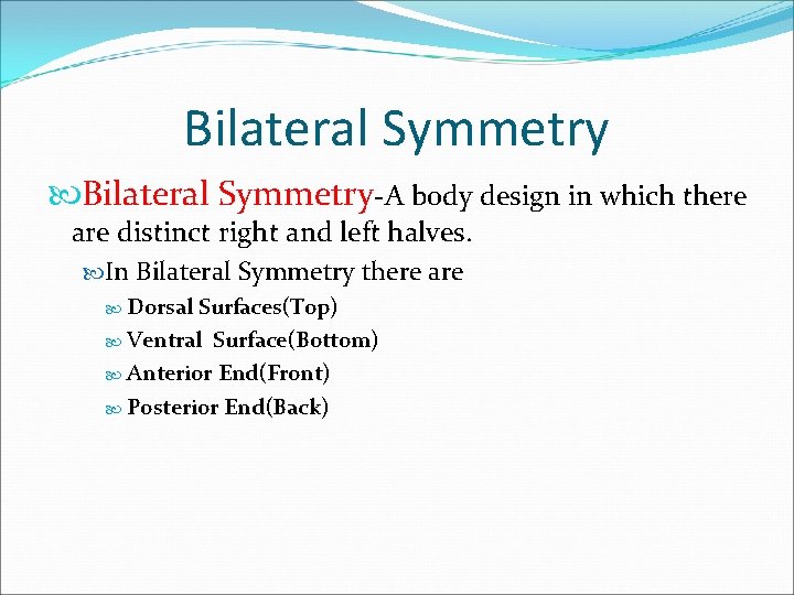 Bilateral Symmetry-A body design in which there are distinct right and left halves. In