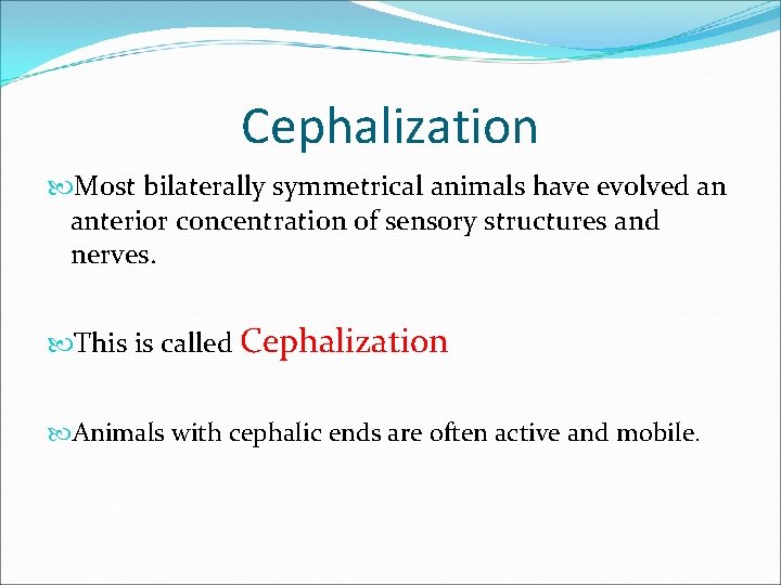 Cephalization Most bilaterally symmetrical animals have evolved an anterior concentration of sensory structures and