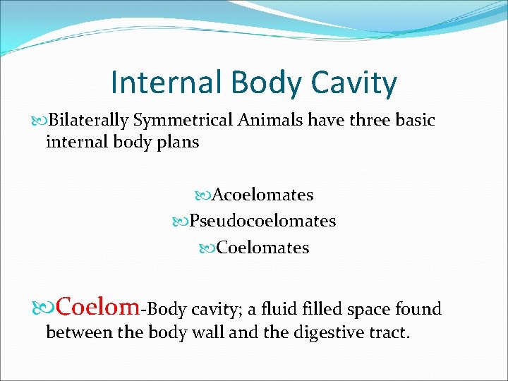 Internal Body Cavity Bilaterally Symmetrical Animals have three basic internal body plans Acoelomates Pseudocoelomates