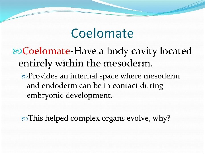 Coelomate-Have a body cavity located entirely within the mesoderm. Provides an internal space where