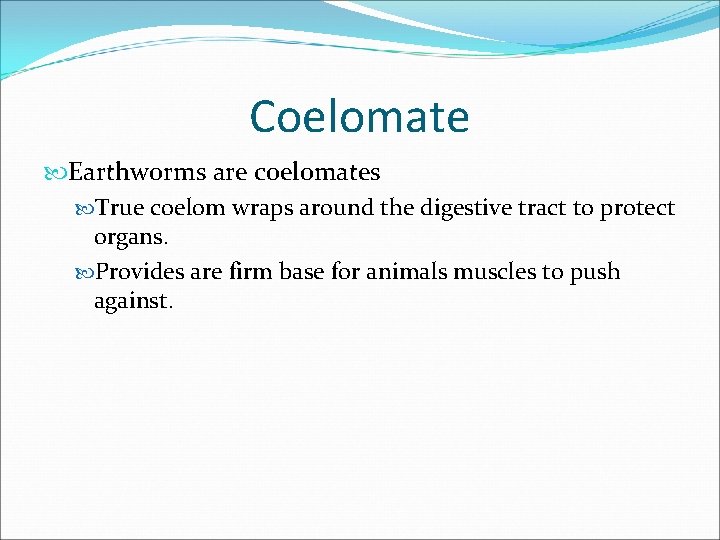 Coelomate Earthworms are coelomates True coelom wraps around the digestive tract to protect organs.