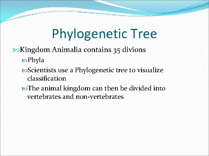 Phylogenetic Tree Kingdom Animalia contains 35 divions Phyla Scientists use a Phylogenetic tree to