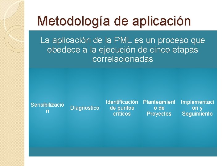 Metodología de aplicación La aplicación de la PML es un proceso que obedece a