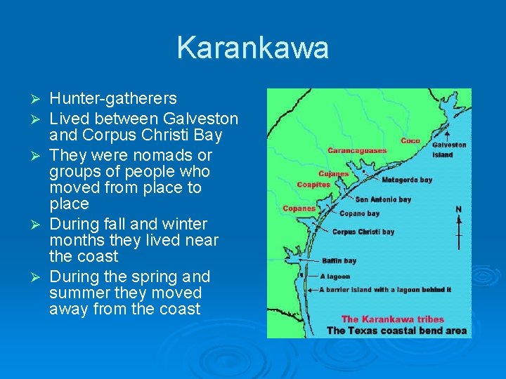 Karankawa Hunter-gatherers Lived between Galveston and Corpus Christi Bay Ø They were nomads or