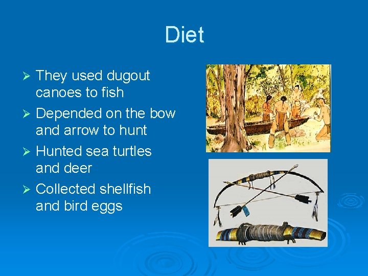 Diet They used dugout canoes to fish Ø Depended on the bow and arrow