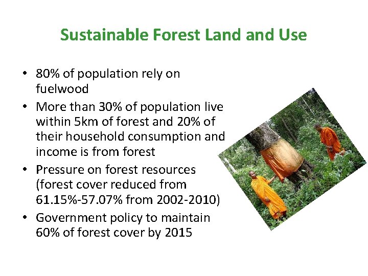 Sustainable Forest Land Use • 80% of population rely on fuelwood • More than