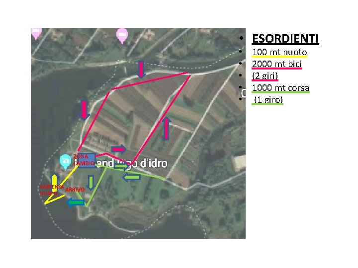  • ESORDIENTI • • • ZONA CAMBIO PARTENZA ARRIVO NUOTO 100 mt nuoto