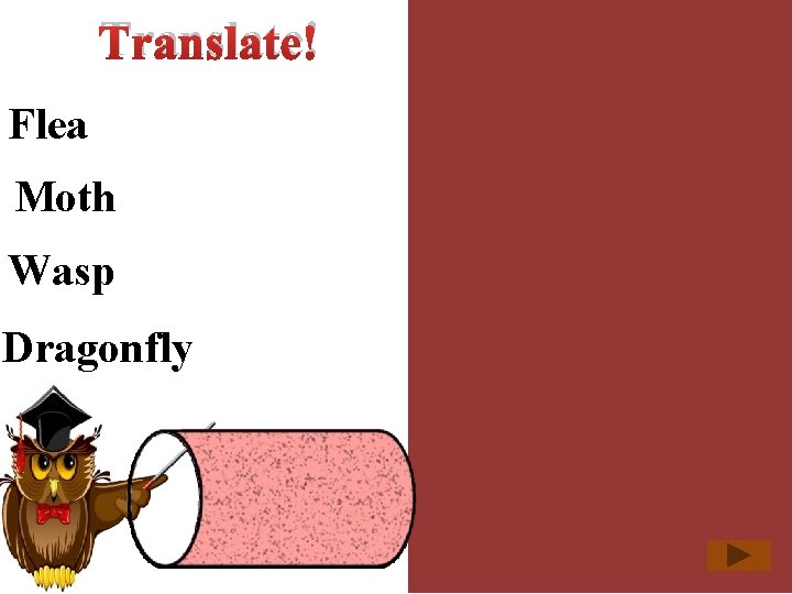 Translate! Flea блоха Moth моль Wasp оса Dragonfly стрекоза 