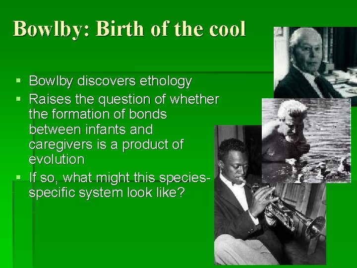 Bowlby: Birth of the cool § Bowlby discovers ethology § Raises the question of