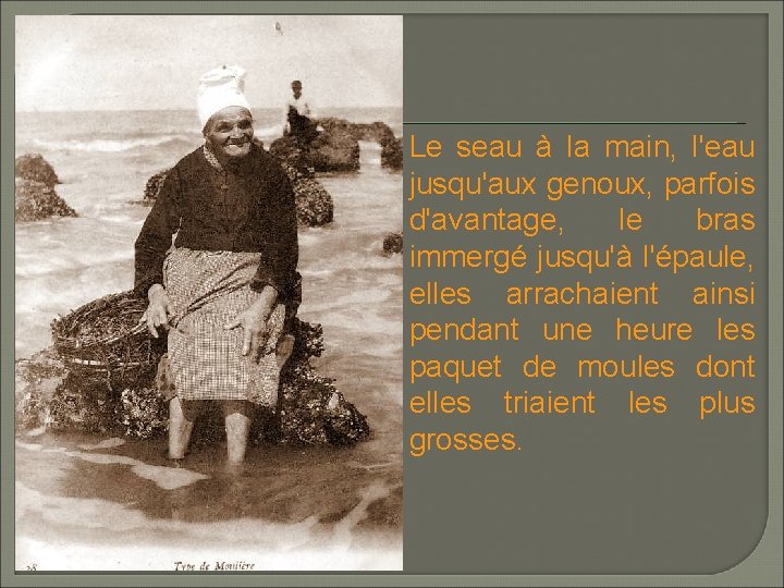 Le seau à la main, l'eau jusqu'aux genoux, parfois d'avantage, le bras immergé jusqu'à Le seau à la main, l'eau jusqu'aux genoux, parfois d'avantage, le bras immergé jusqu'à