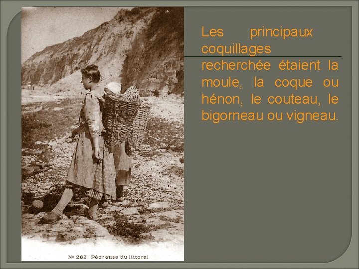 Les principaux coquillages recherchée étaient la moule, la coque ou hénon, le couteau, le