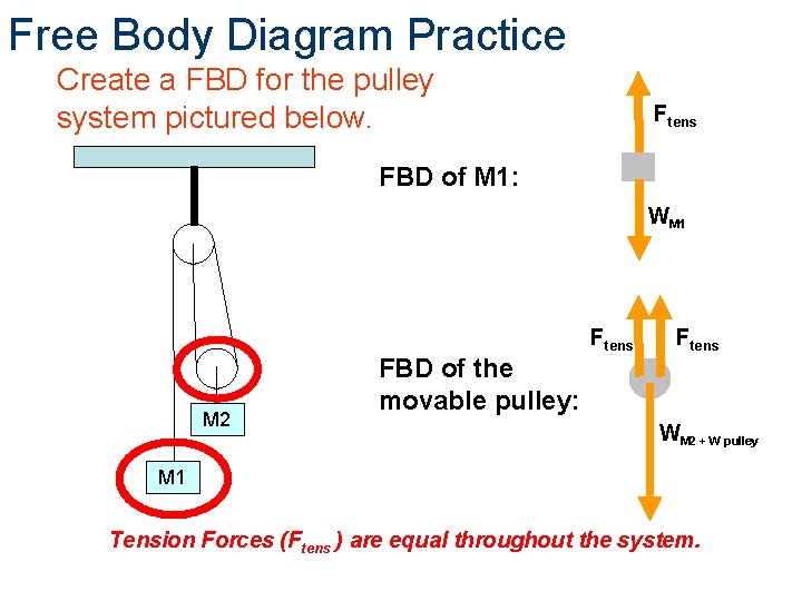 Free Body Diagram Practice Create a FBD for the pulley system pictured below. Ftens