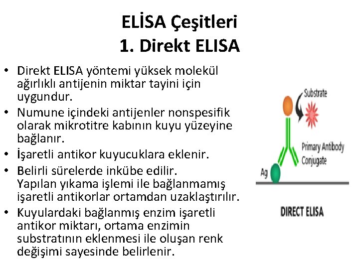 ELİSA Çeşitleri 1. Direkt ELISA • Direkt ELISA yöntemi yüksek molekül ağırlıklı antijenin miktar