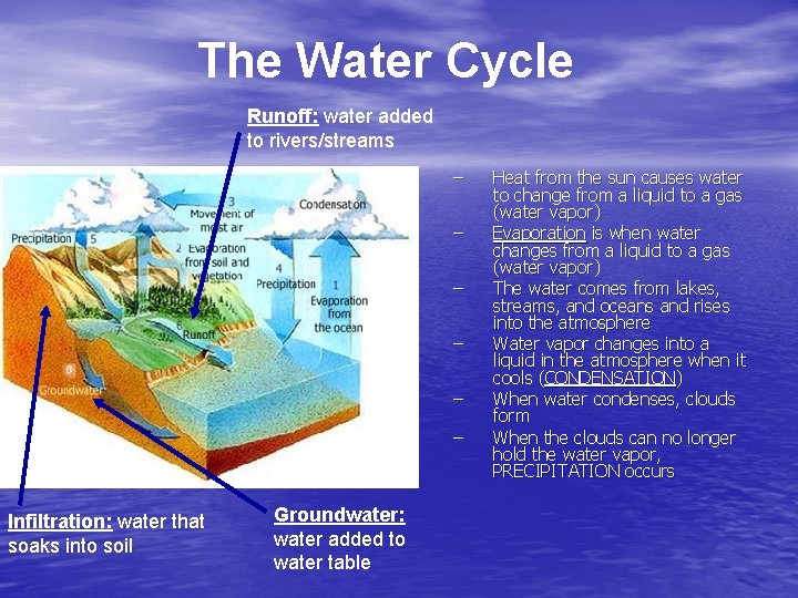 The Water Cycle Runoff: water added to rivers/streams – – – Infiltration: water that