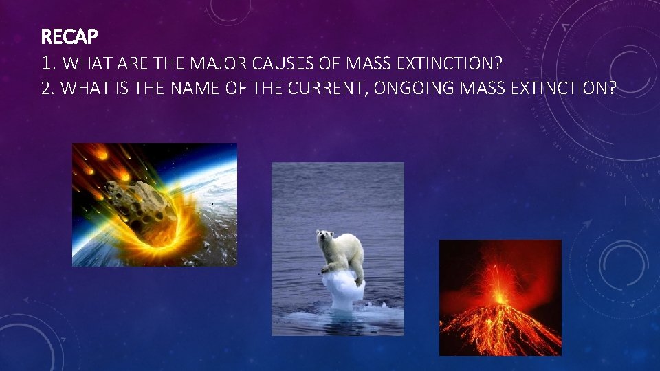 RECAP 1. WHAT ARE THE MAJOR CAUSES OF MASS EXTINCTION? 2. WHAT IS THE