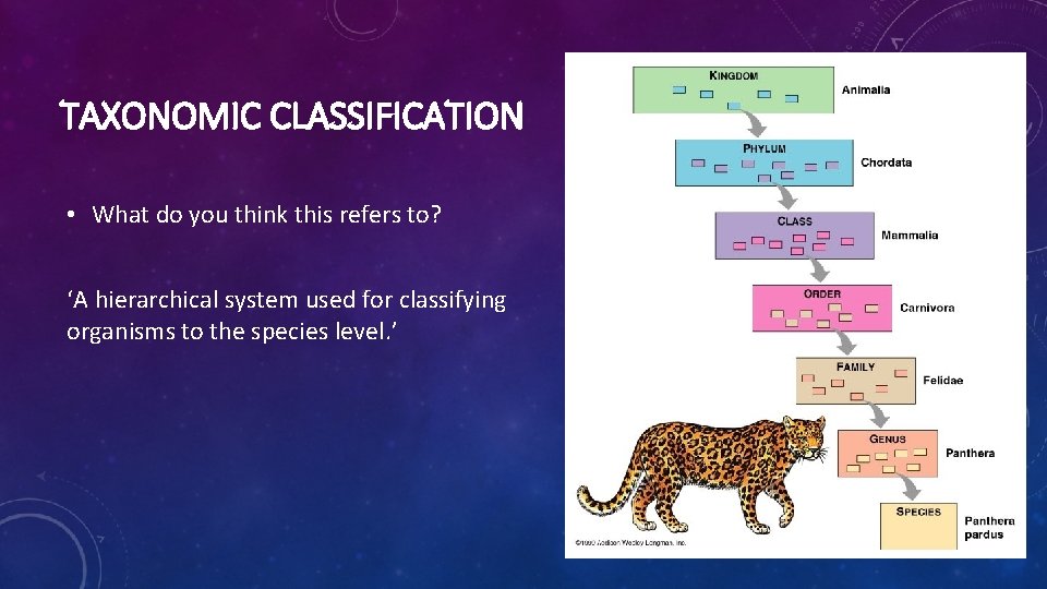 TAXONOMIC CLASSIFICATION • What do you think this refers to? ‘A hierarchical system used