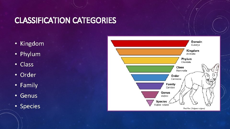 CLASSIFICATION CATEGORIES • Kingdom • Phylum • Class • Order • Family • Genus