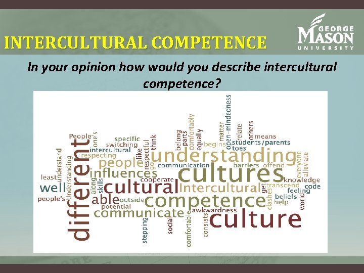 INTERCULTURAL COMPETENCE In your opinion how would you describe intercultural competence? INTERCULTURAL COMPETENCE In your opinion how would you describe intercultural competence?