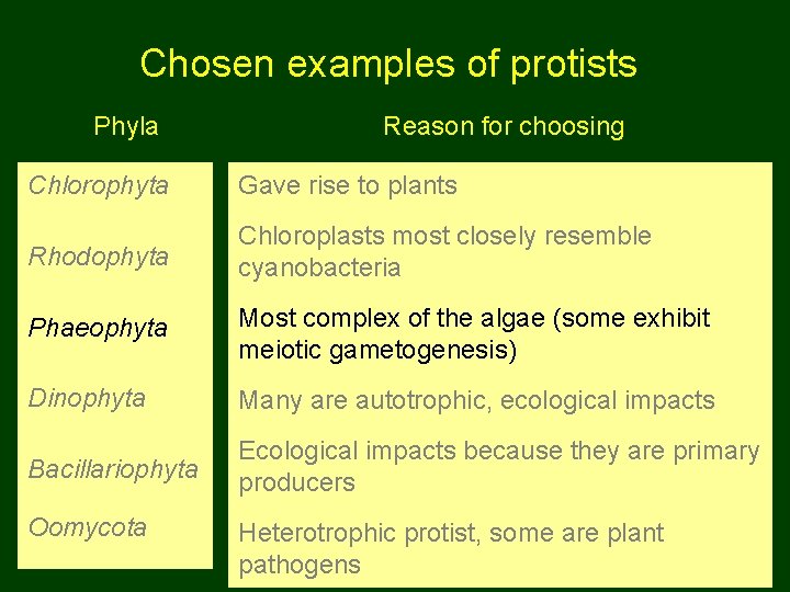 Chosen examples of protists Phyla Reason for choosing Chlorophyta Gave rise to plants Rhodophyta