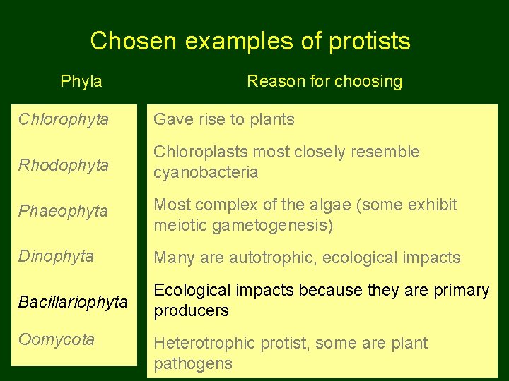 Chosen examples of protists Phyla Reason for choosing Chlorophyta Gave rise to plants Rhodophyta