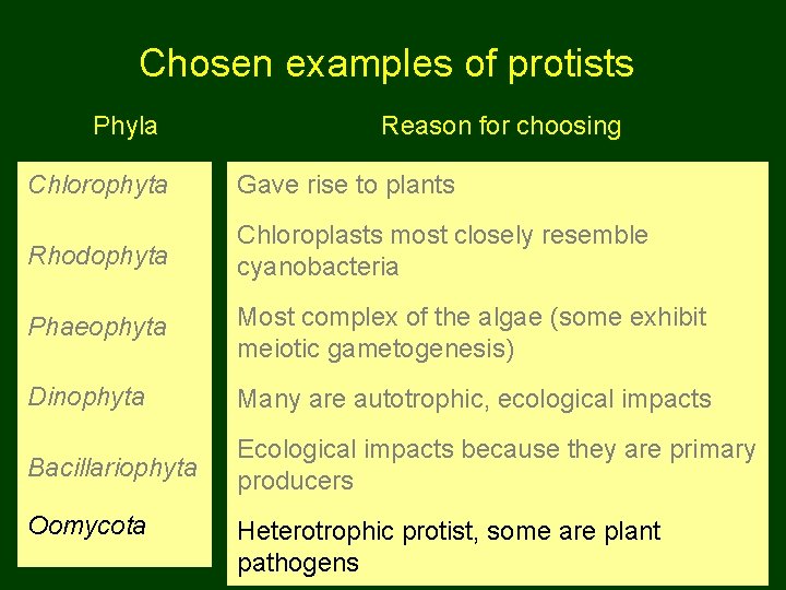 Chosen examples of protists Phyla Reason for choosing Chlorophyta Gave rise to plants Rhodophyta