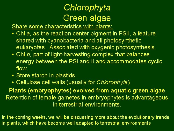 Chlorophyta Green algae Share some characteristics with plants: • Chl a, as the reaction