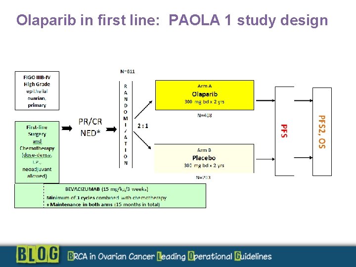 Olaparib in first line: PAOLA 1 study design 