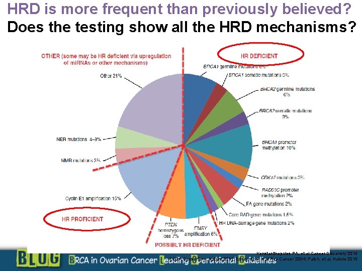 HRD is more frequent than previously believed? Does the testing show all the HRD