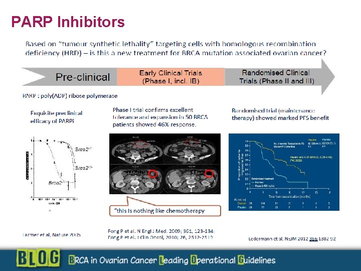 PARP Inhibitors 