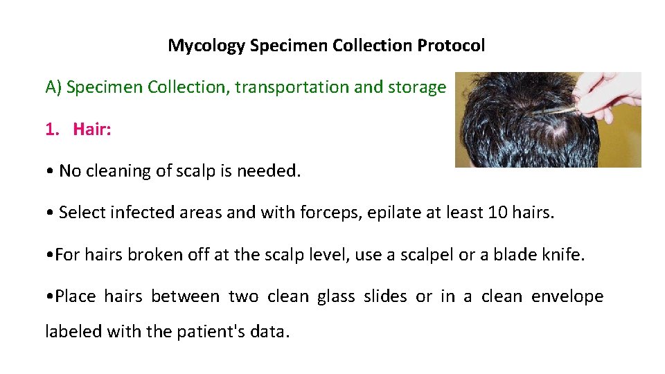 Mycology Specimen Collection Protocol A) Specimen Collection, transportation and storage 1. Hair: • No