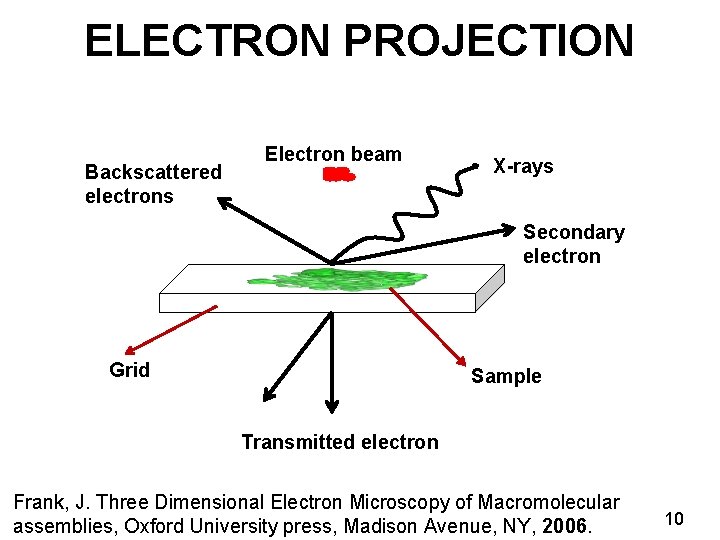 ELECTRON PROJECTION Backscattered electrons Electron beam X-rays Secondary electron Grid Sample Transmitted electron Frank,