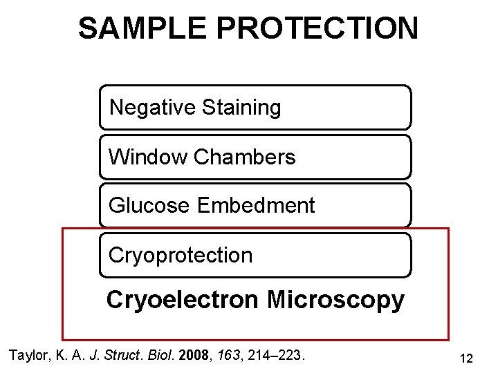 SAMPLE PROTECTION Negative Staining Window Chambers Glucose Embedment Cryoprotection Cryoelectron Microscopy Taylor, K. A.