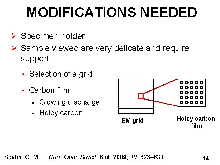 MODIFICATIONS NEEDED Ø Specimen holder Ø Sample viewed are very delicate and require support