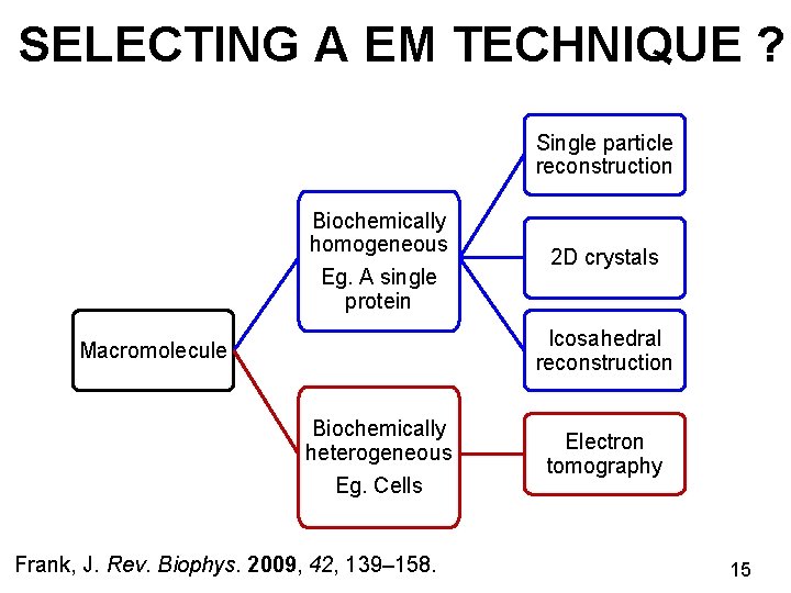 SELECTING A EM TECHNIQUE ? Single particle reconstruction Biochemically homogeneous Eg. A single protein