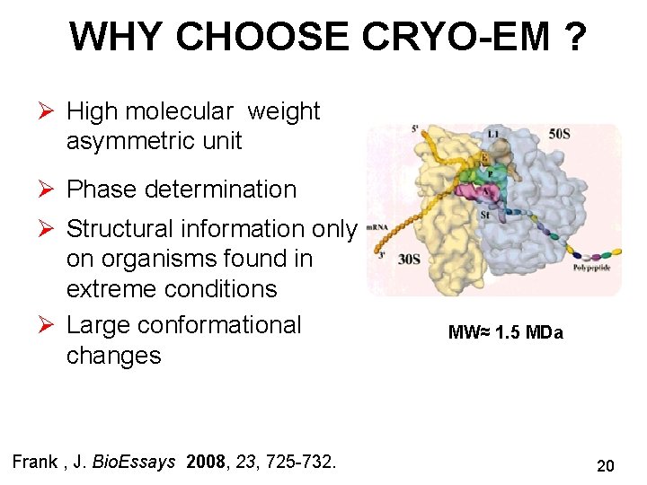 WHY CHOOSE CRYO-EM ? Ø High molecular weight asymmetric unit Ø Phase determination Ø
