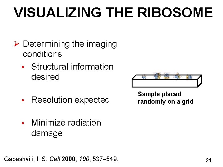 VISUALIZING THE RIBOSOME Ø Determining the imaging conditions • Structural information desired • Resolution