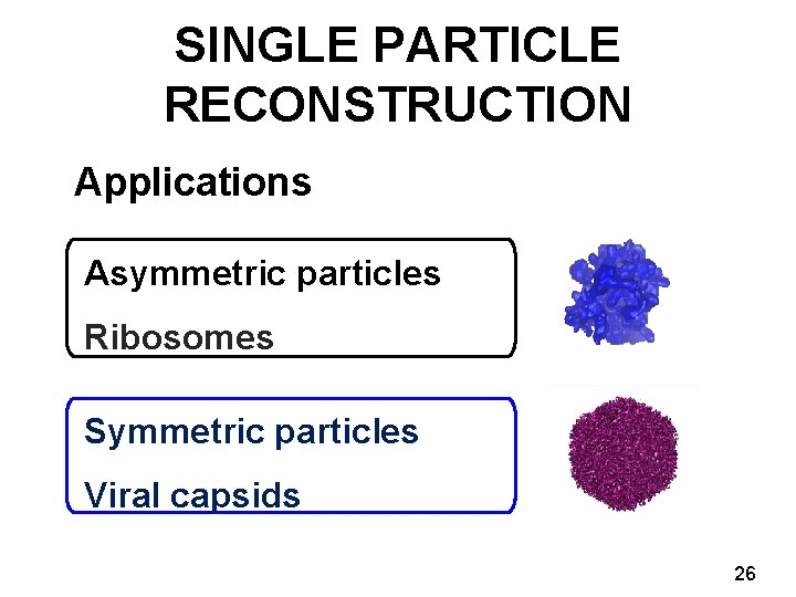 SINGLE PARTICLE RECONSTRUCTION Applications Asymmetric particles Ribosomes Symmetric particles Viral capsids 26 